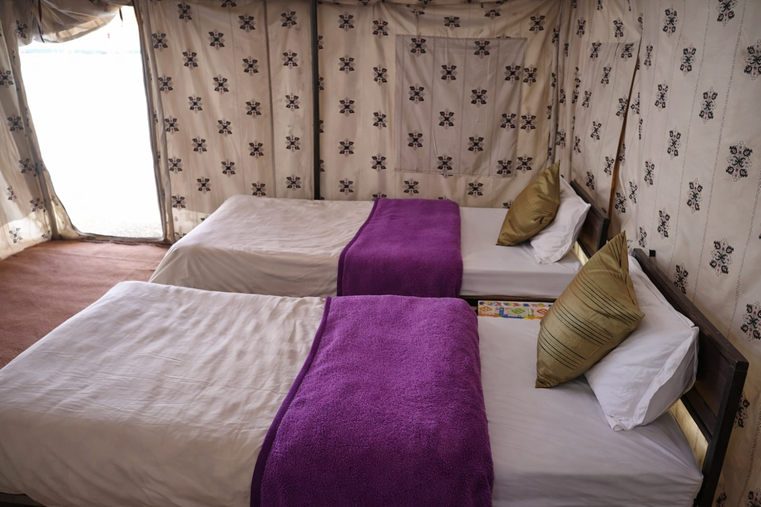 Standard Swiss tent with twin bed configuration, attached toilet, and heavy woolen blankets for bikers and solo travelers in Sarchu